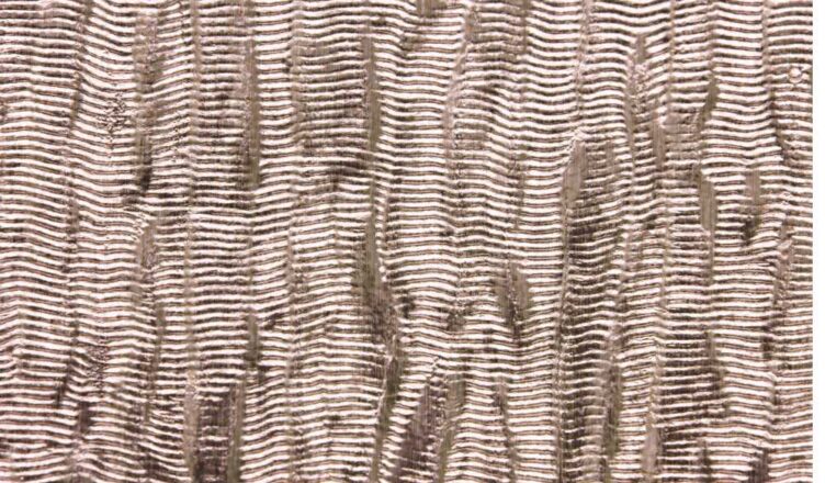 Chenille Fabric