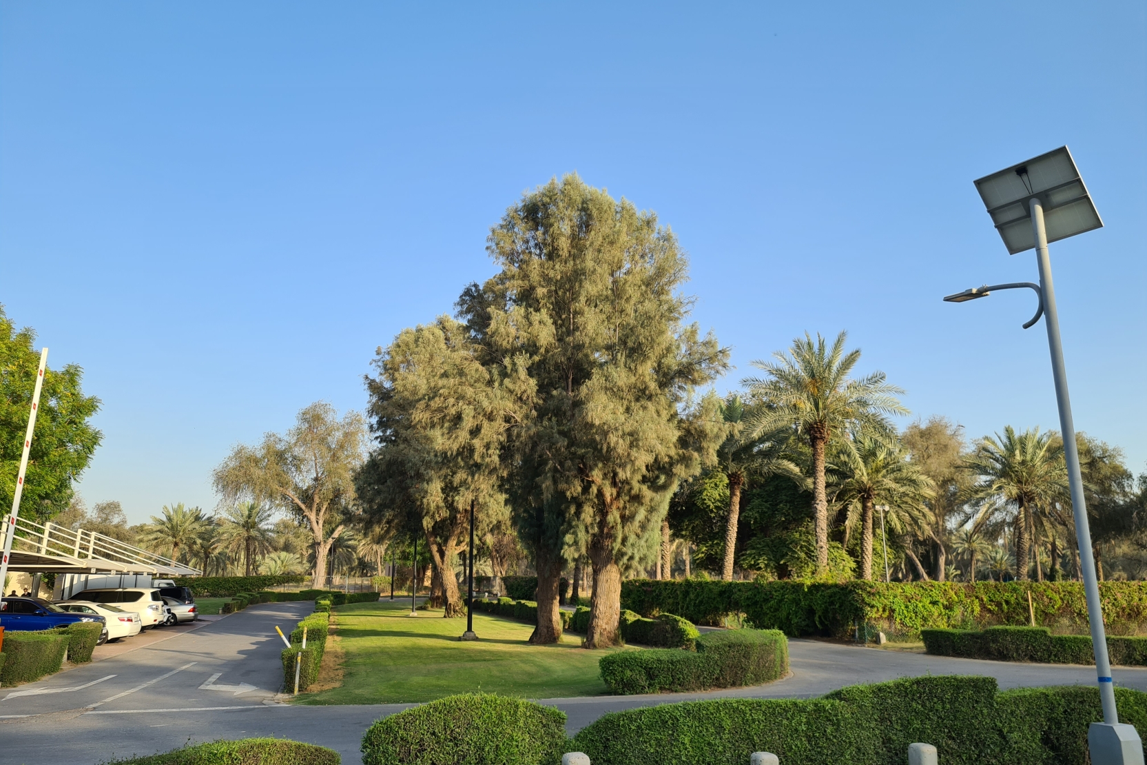 Mushrif Park Dubai