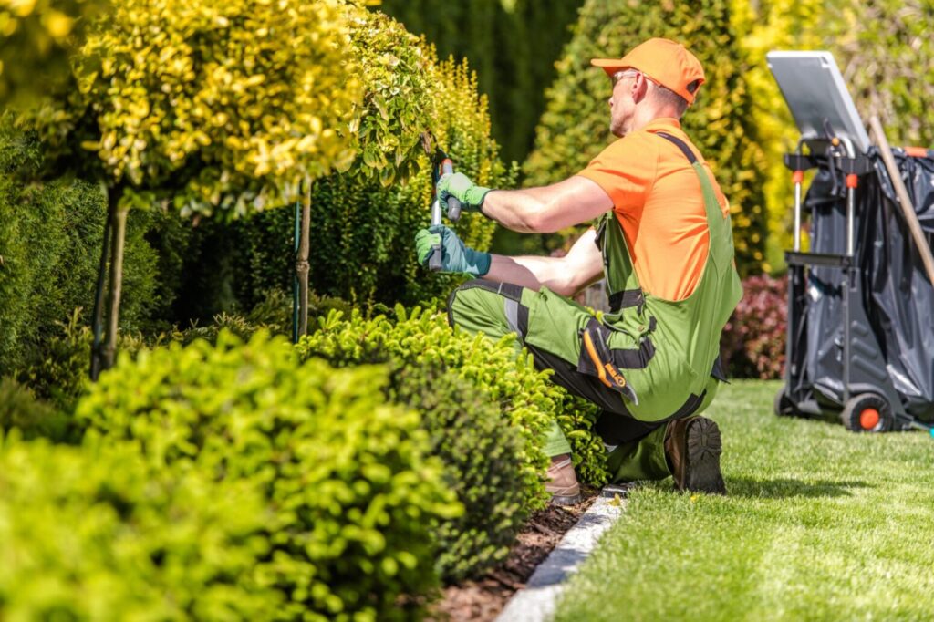 best landscaping services in Caldwell ID